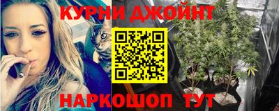 ГАЛЛЮЦИНОГЕННЫЕ ГРИБЫ Берёзовский