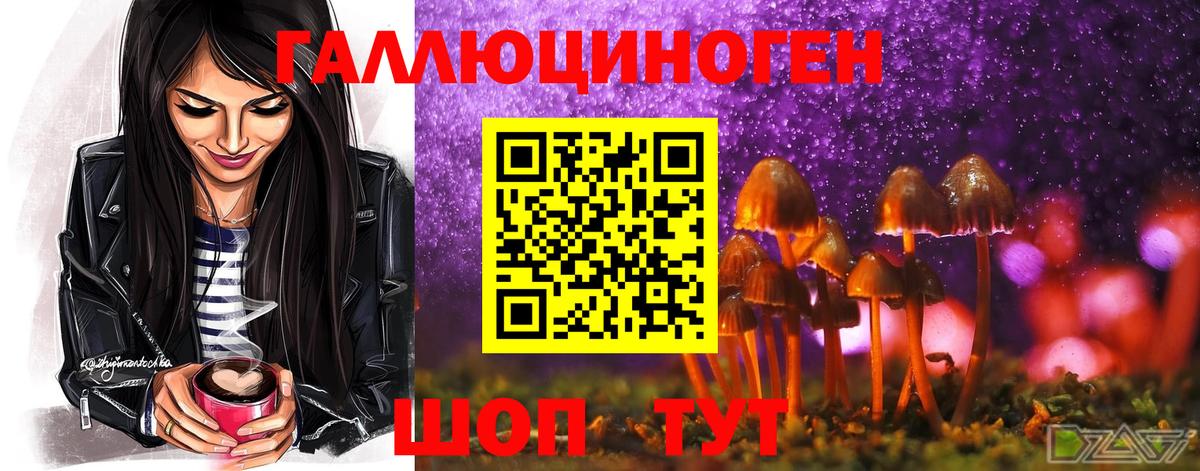 Галлюциногенные грибы Psilocybe Грязи